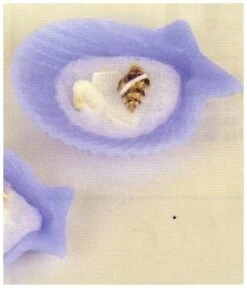 Deko - Kerze Maritim Muschel Klein