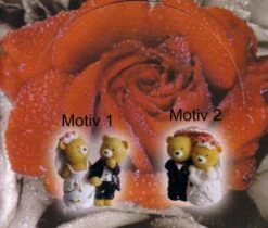 Hochzeitspaar Bären In Der Tüte