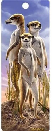 Lesezeichen Erdmännchen 3D