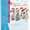 Depesche Weihnachtskarte Pinguin -Geschenkladen gde1480 12 weihnachtskarte pinguin 640x640