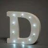 Lights Letter LED Buchstabe D -Geschenkladen yb0163304 lights letter d 640x640